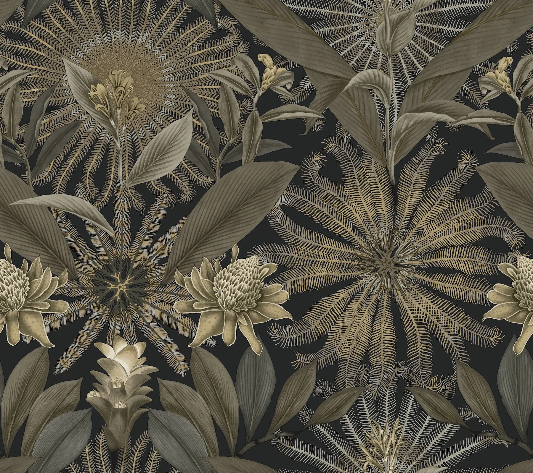 VR1531 | Enchanted Garden Black Tropical Wallpaper