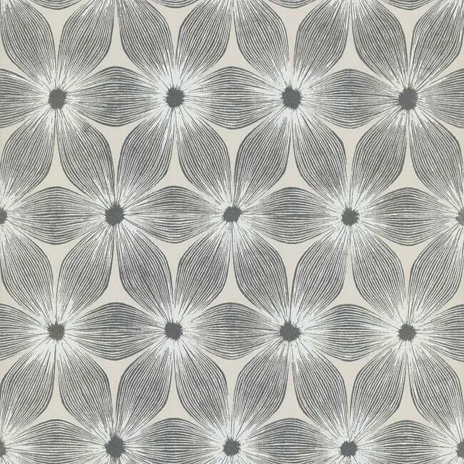 CI2302 | Everlasting White & Silver Wallpaper