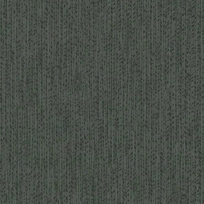York Designer Series Feather Fletch Black Wallpaper - SKU HO2139