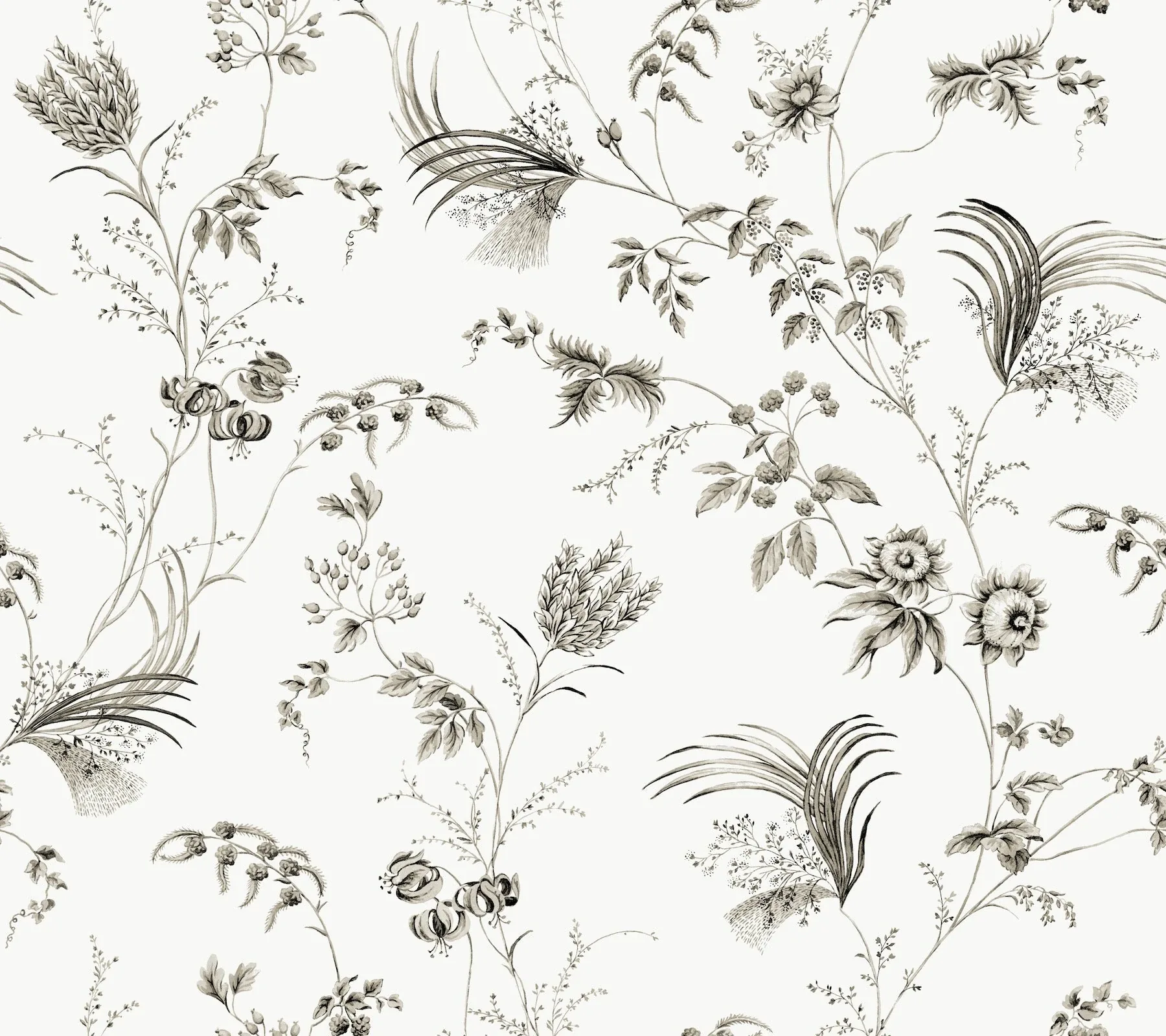 York Designer Series Floral Lace Black Wallpaper - SKU MX9682