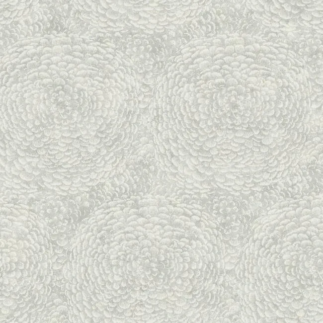 BO6752 | Floret Grey Wallpaper