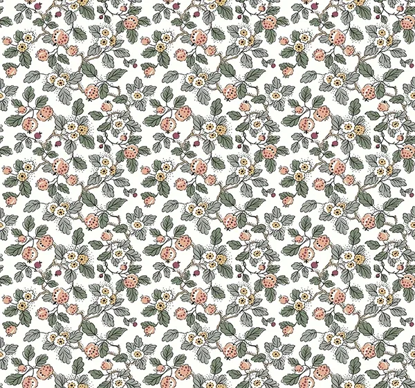 VP1414 | Framboise Blush Berry Vines Wallpaper