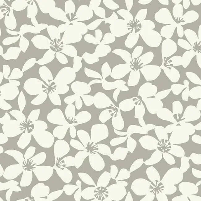 BO6681 | Free Spirit Brown Wallpaper