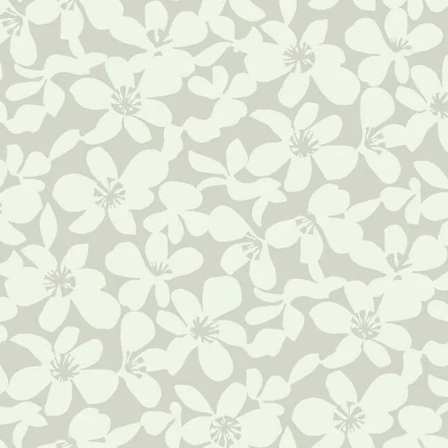 BO6682 | Free Spirit Grey Wallpaper