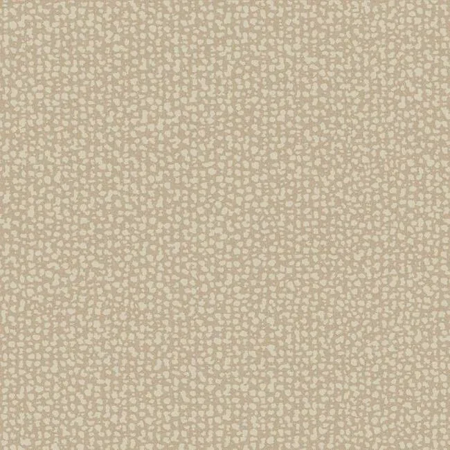 DD3806 | Galaxies Clay Wallpaper