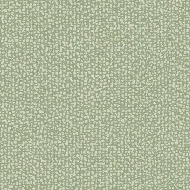 DD3801 | Galaxies Green Wallpaper