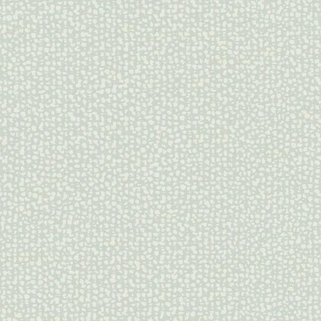 DD3804 | Galaxies Grey Wallpaper