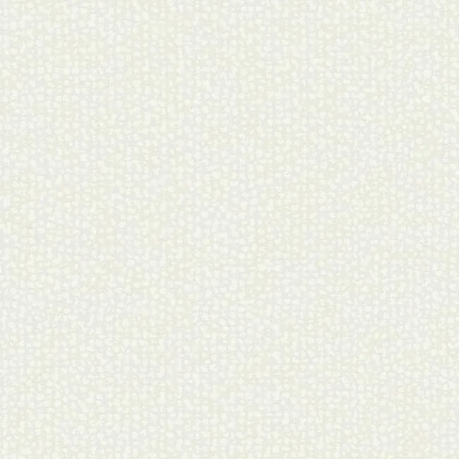 DD3803 | Galaxies White Wallpaper