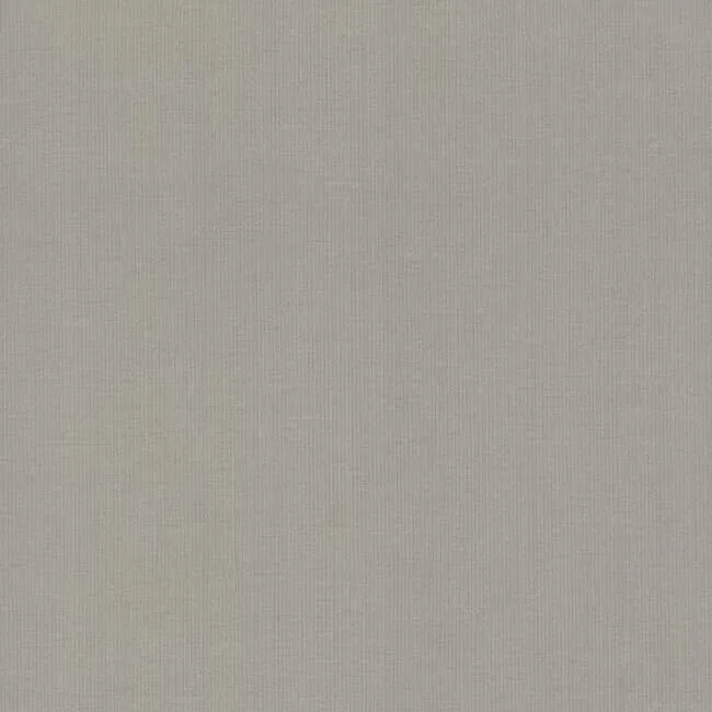 DD3774 | Gossamer Woven Silver & Grey Wallpaper