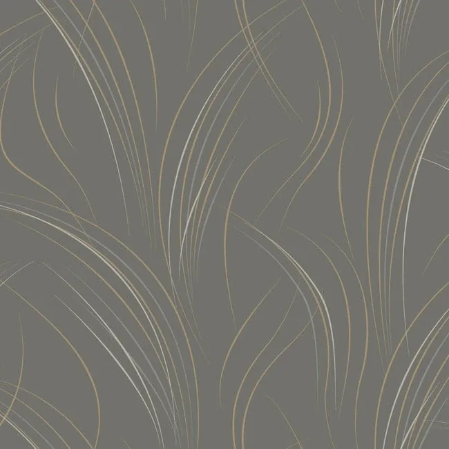 EV3936 | Graceful Wisp Charcoal Wallpaper