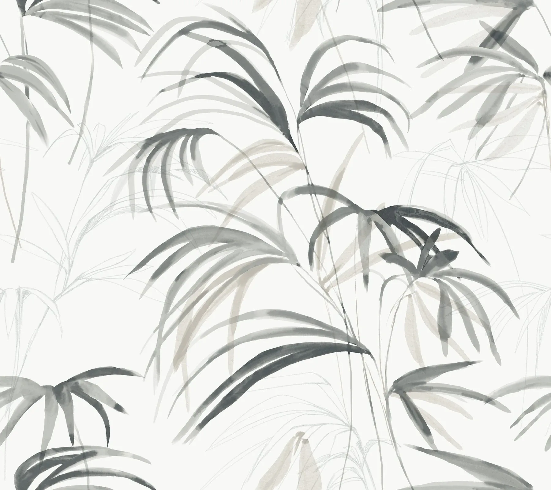NT6123 | Inky Black Palms Wallpaper