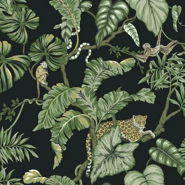 HO2143 | Jungle Cat Black Wallpaper