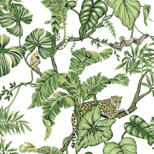 HO2145 | Jungle Cat White Wallpaper