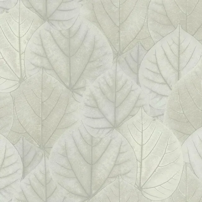 OS4246 | Leaf Concerto Grey Wallpaper