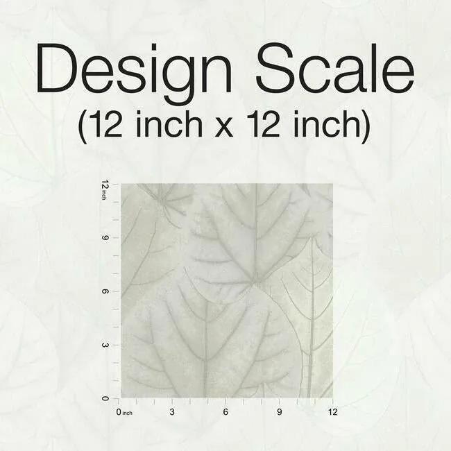 York Designer Series Leaf Concerto Grey Wallpaper | Wallpaper Twins York Designer Series Leaf Concerto Grey Wallpaper - SKU OS4246