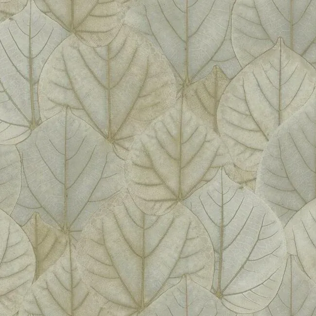 OS4243 | Leaf Concerto Taupe Wallpaper
