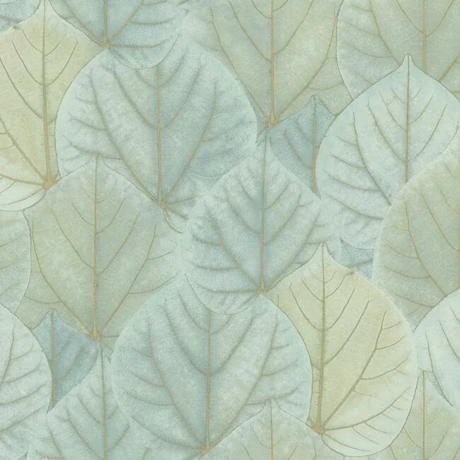 OS4241 | Leaf Concerto Turquoise Wallpaper