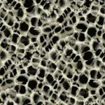York Designer Series Leopard Rosettes Black Wallpaper - SKU HO2162