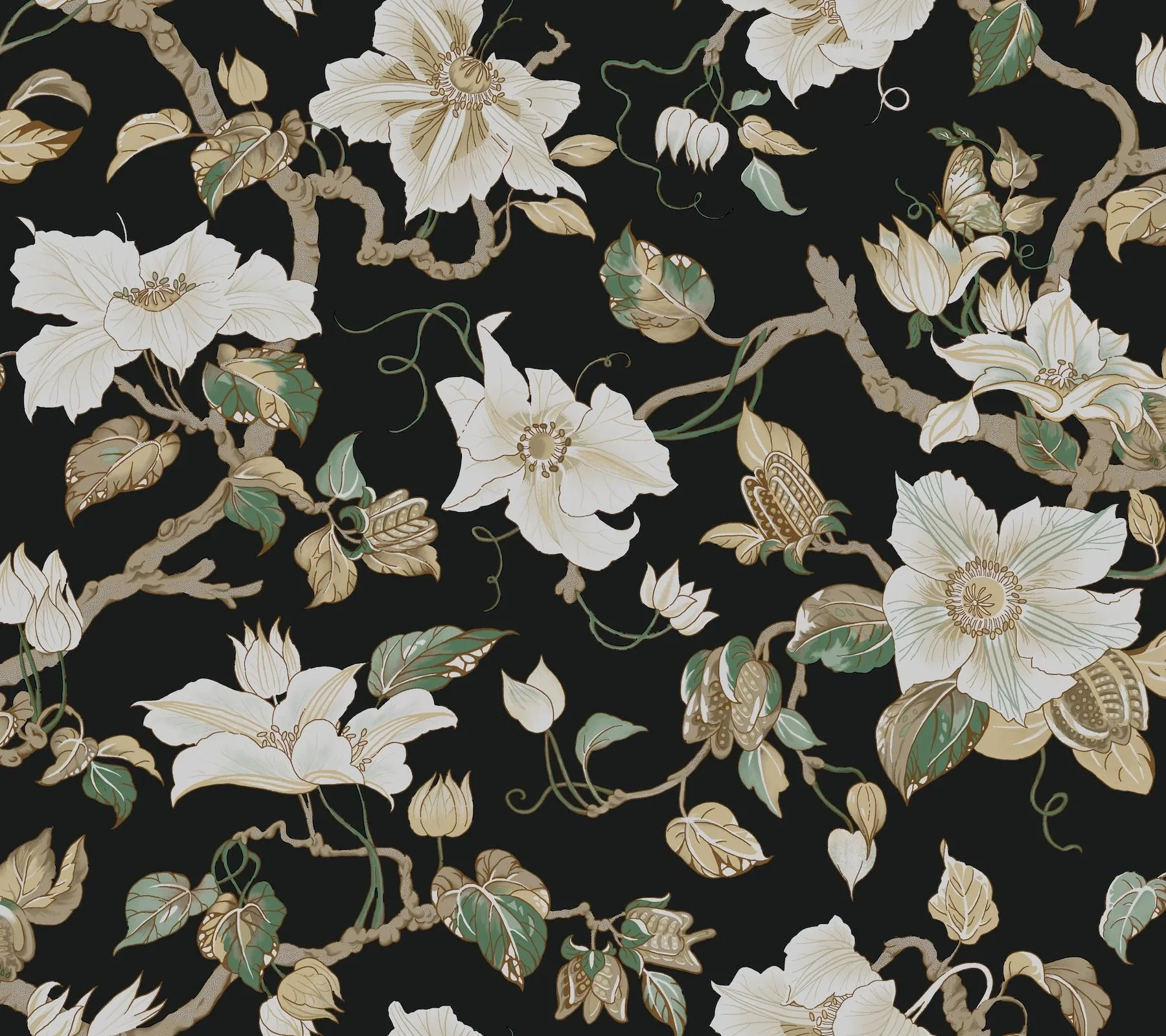 GT4514 | Marguerite Vine Black Wallpaper