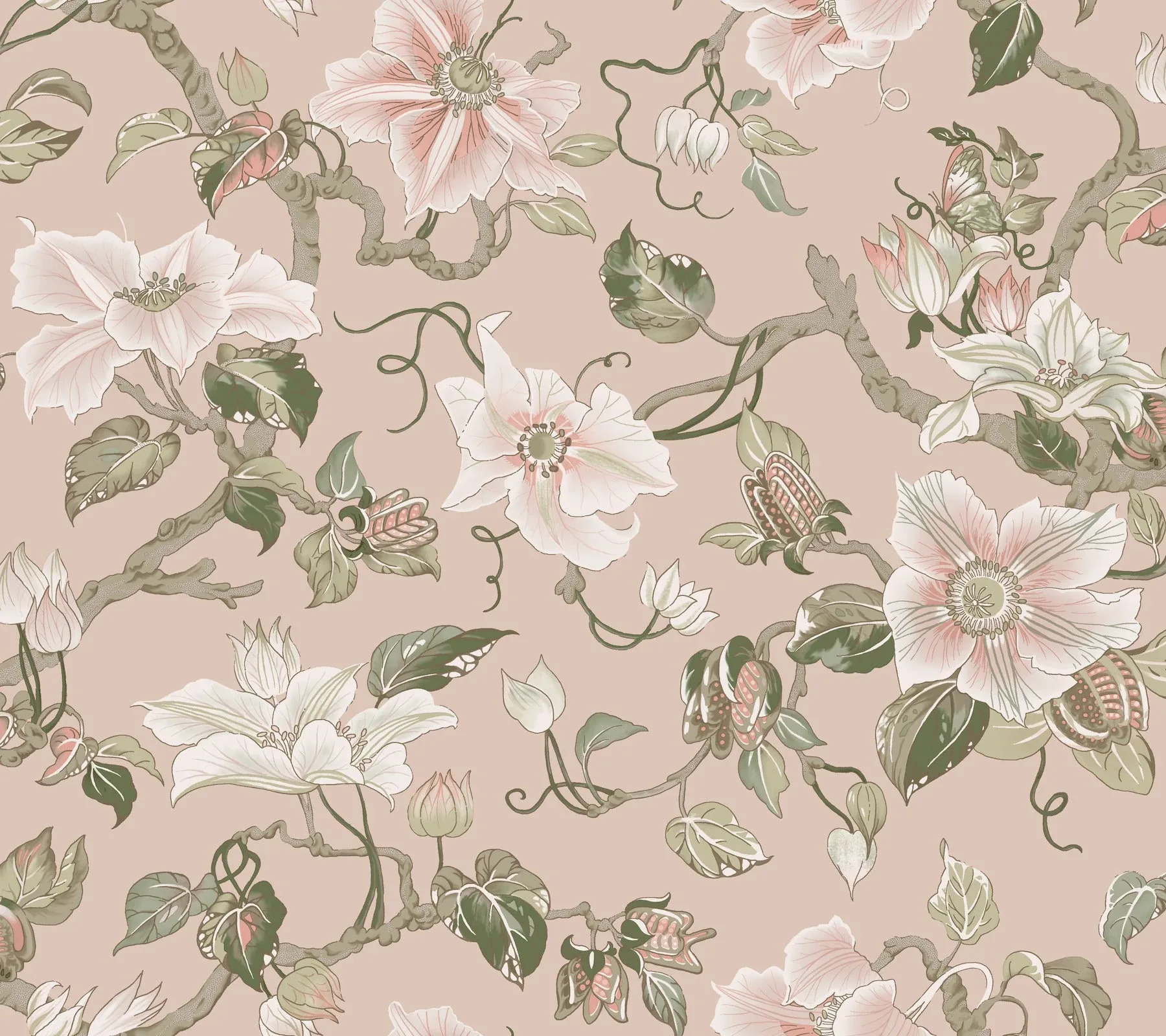 GT4511 | Marguerite Vine Blush Wallpaper