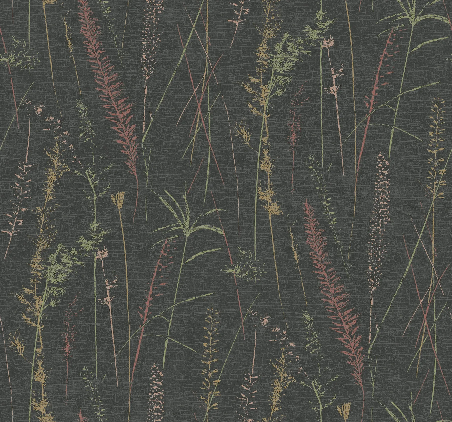 LL3241 | Meadow Splendor Black Botanical Wallpaper