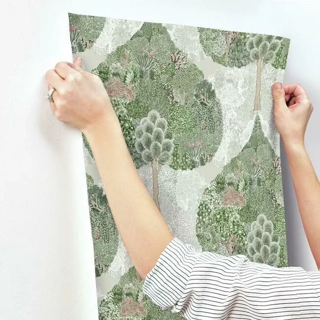 York Designer Series Mystic Forest Green & Coral Wallpaper - SKU BO6702