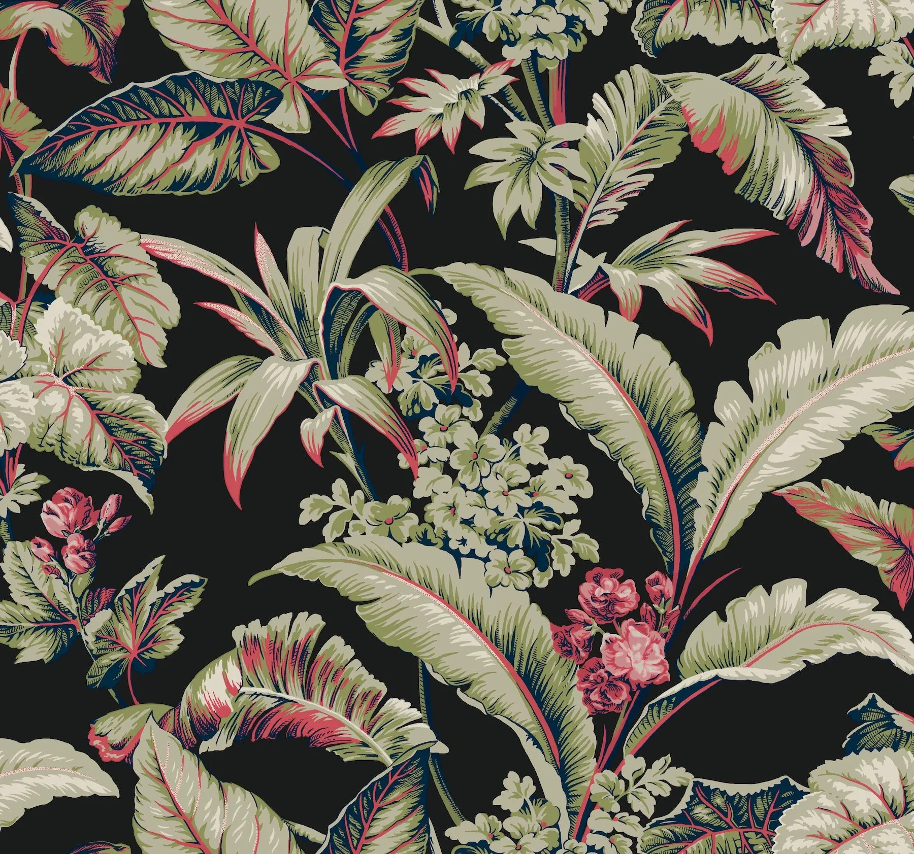 GT4504 | Mystic Isle Black Wallpaper
