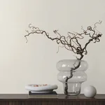 York Designer Series Nadie White Wallpaper - SKU GT4576