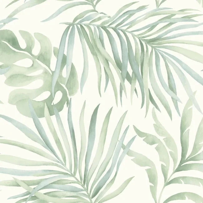 York Designer Series Paradise Palm Aloe Peel & Stick Wallpaper - SKU PSW1413RL