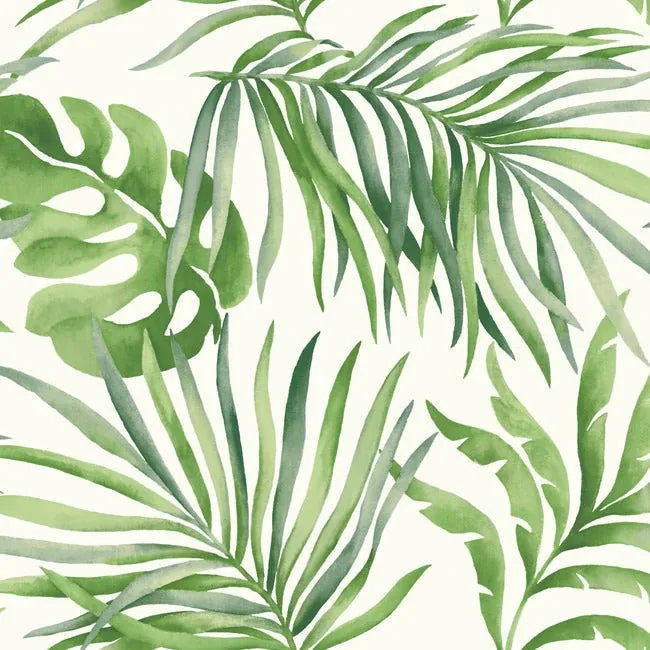 York Designer Series Paradise Palm Green Peel & Stick Wallpaper - SKU PSW1412RL