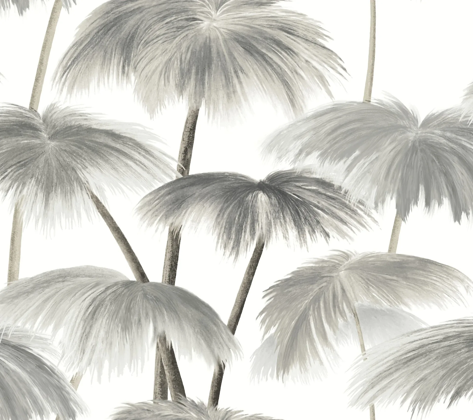 York Designer Series Plein Air Palms Black & White Wallpaper - SKU LM5432