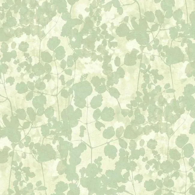 York Designer Series Pressed Leaves Green Wallpaper - SKU NA0517