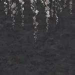 York Designer Series Sakura Blooms Black Wall Mural | Wallpaper Twins York Designer Series Sakura Blooms Black Wall Mural - SKU ZA8058M
