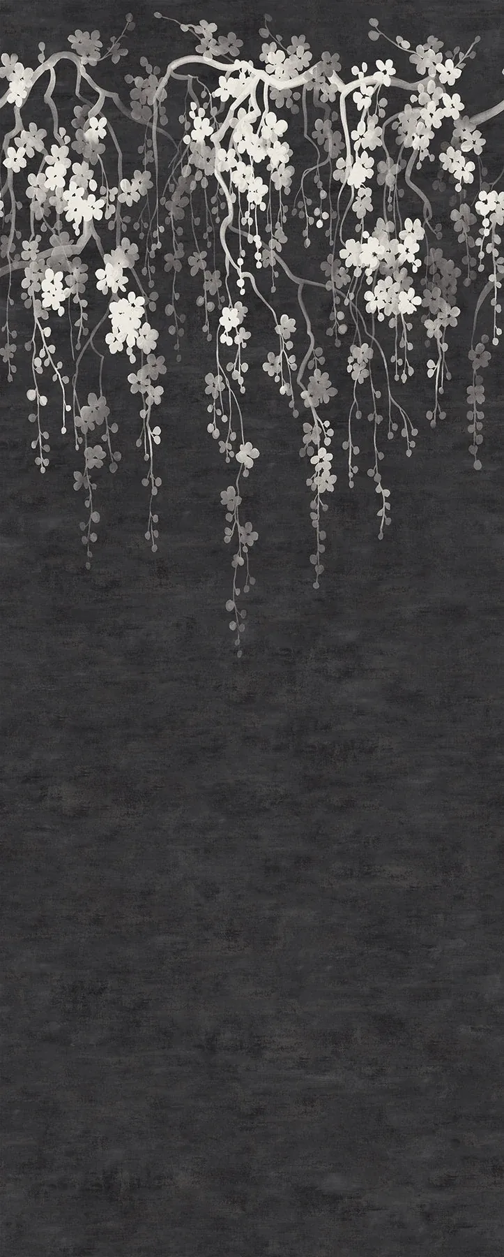 ZA8058M | Sakura Blooms Black Wall Mural