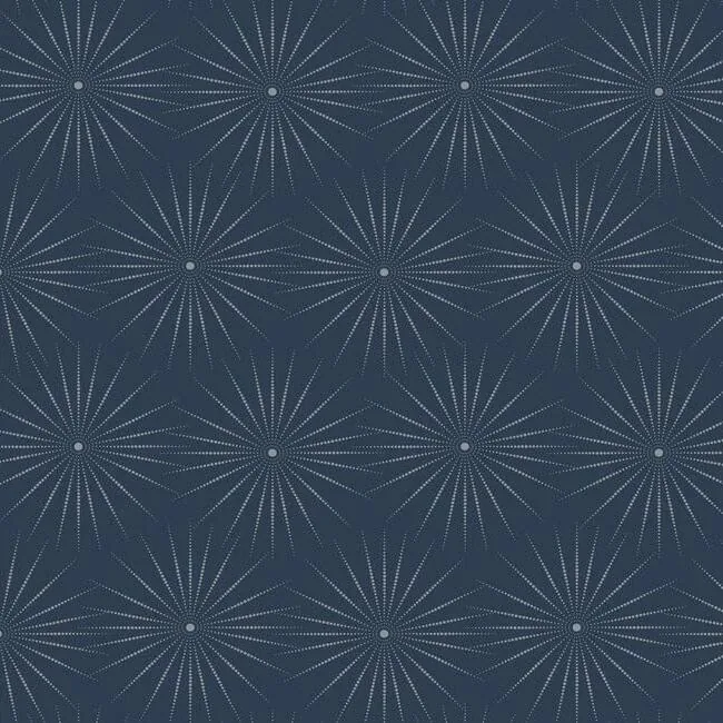 BO6695 | Starlight Blue & Silver Wallpaper