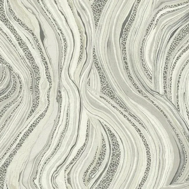 HO2172 | Streaming Cheetah Grey Wallpaper