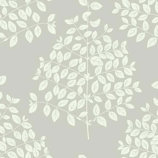 OS4252 | Tender Pearl Grey Wallpaper