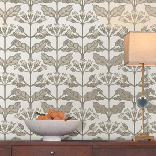York Designer Series Tracery Blooms White Wallpaper | Wallpaper Twins York Designer Series Tracery Blooms White Wallpaper - SKU AC9114