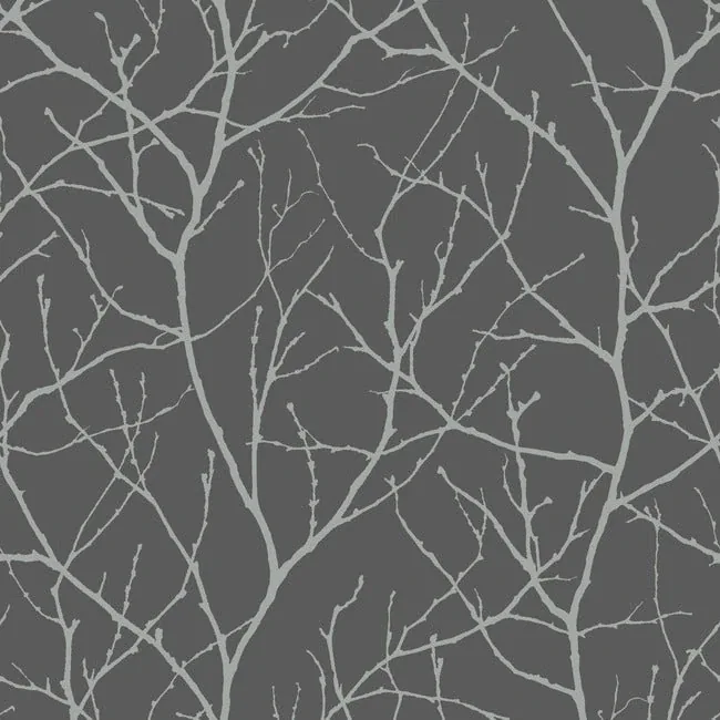 MD7125 | Trees Silhouette Charcoal & Silver Wallpaper
