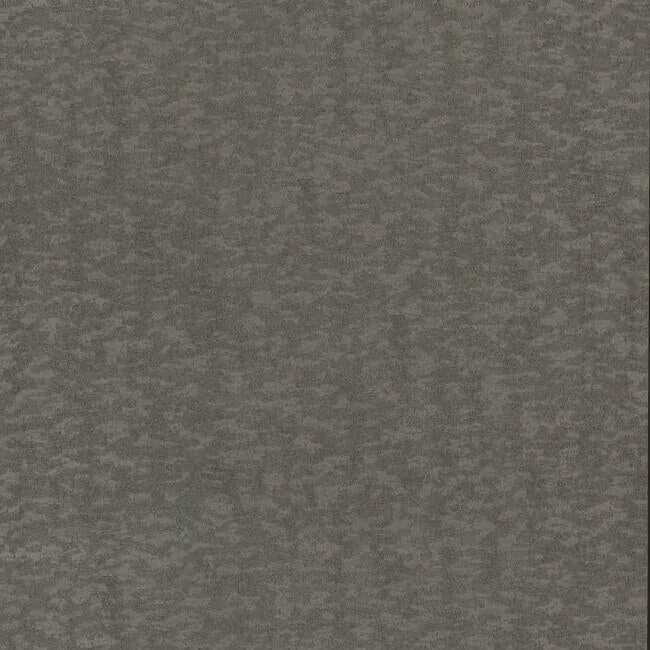 DD3751 | Weathered Cypress Silver Wallpaper