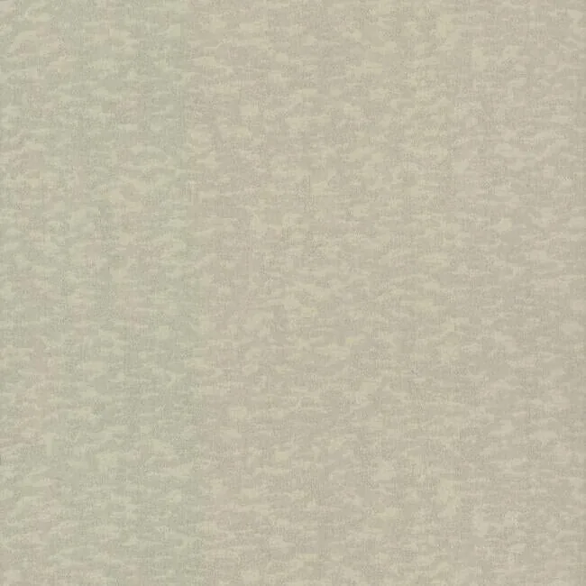 DD3752 | Weathered Cypress Taupe Wallpaper