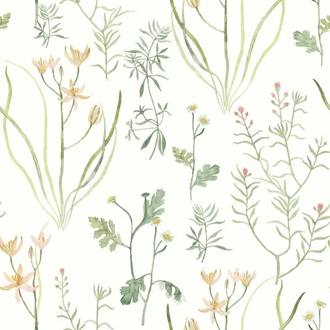PSW1519RL | Alpine Botanical Peach Peel & Stick Wallpaper
