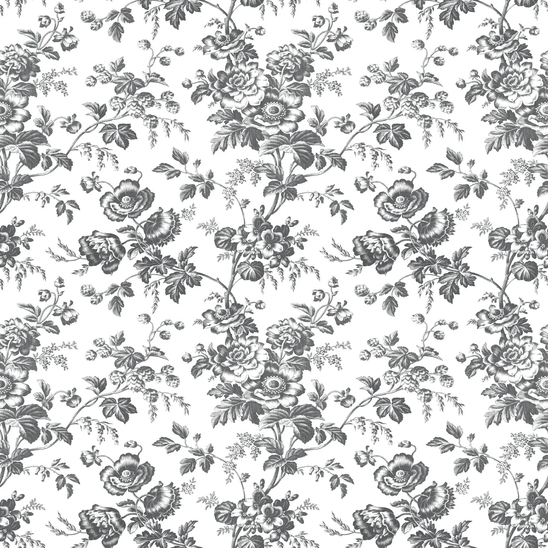 RT7875 | Anemone Toile Black Wallpaper