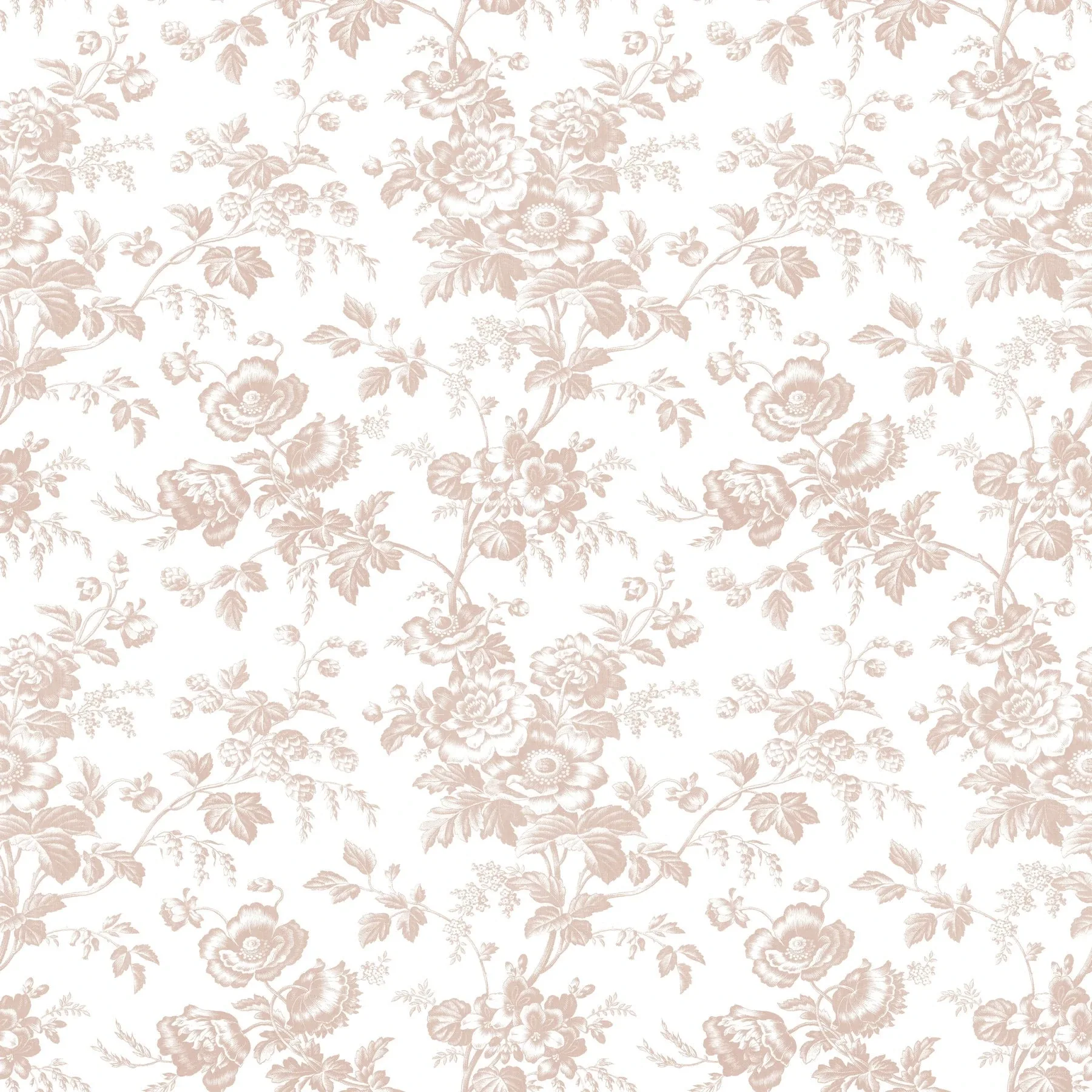 RT7874 | Anemone Toile Blush Wallpaper