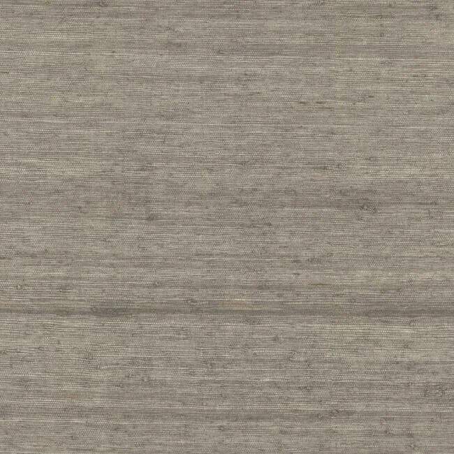 CV4403 | Arrowroot Brown Wallpaper