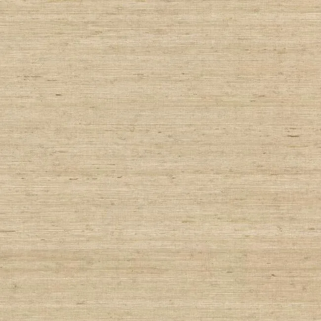 CV4401 | Arrowroot Cream Wallpaper