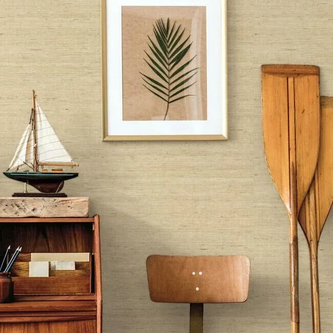 York Wallcoverings Arrowroot Cream Wallpaper | Wallpaper Twins York Wallcoverings Arrowroot Cream Wallpaper - SKU CV4401