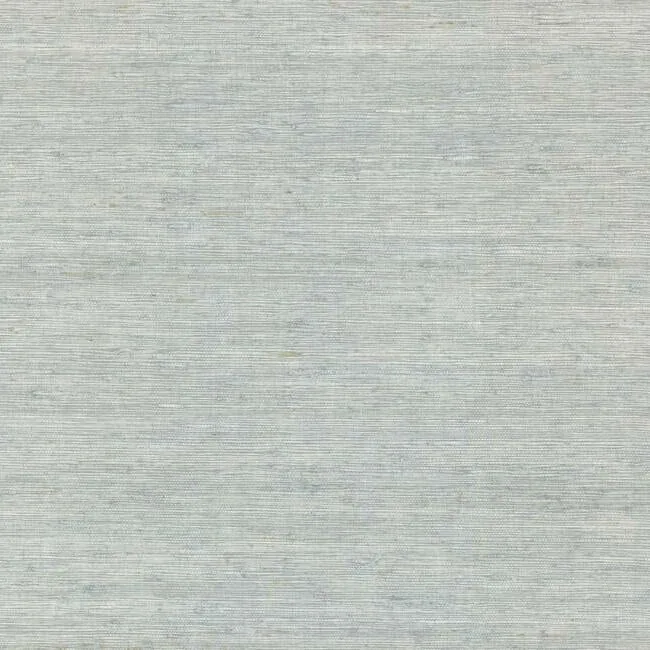 CV4402 | Arrowroot Light Blue Wallpaper