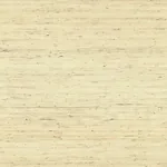 York Wallcoverings Arrowroot Off White Wallpaper | Wallpaper Twins York Wallcoverings Arrowroot Off White Wallpaper - SKU CP9345
