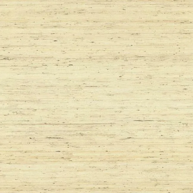 York Wallcoverings Arrowroot Off White Wallpaper - SKU CP9345